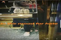 سلفی آسانسوری «دنیا مدنی»+عکس