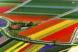 تصاویری آرامش بخش از زیبایی های طبیعت