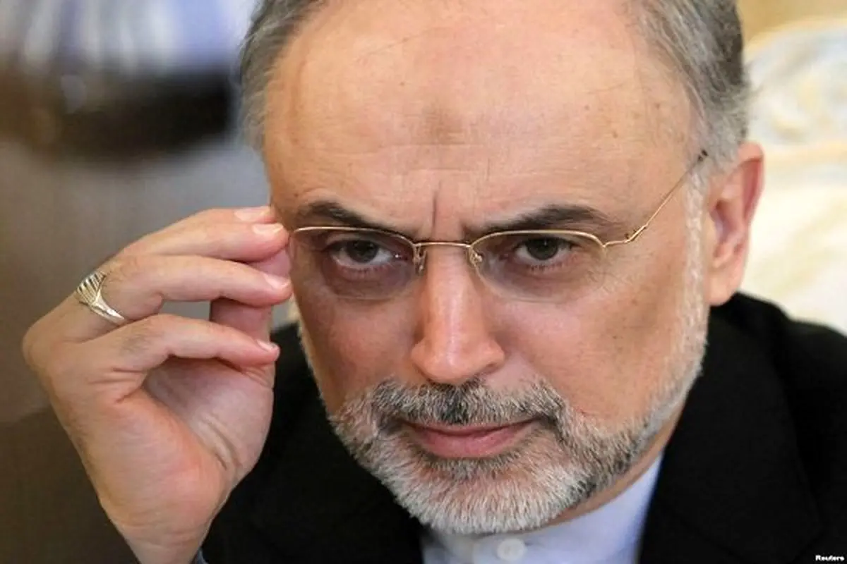 صالحی: ایران براساس عقلانیت عمل می‌کند/ ترامپ برای خودش حرف می‌زند