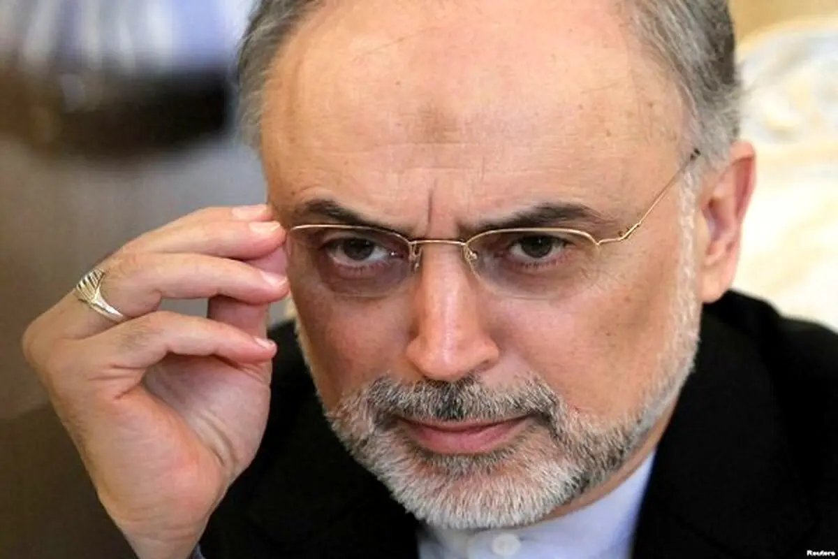 صالحی: ایران براساس عقلانیت عمل می‌کند/ ترامپ برای خودش حرف می‌زند