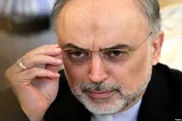 صالحی: ایران براساس عقلانیت عمل می‌کند/ ترامپ برای خودش حرف می‌زند