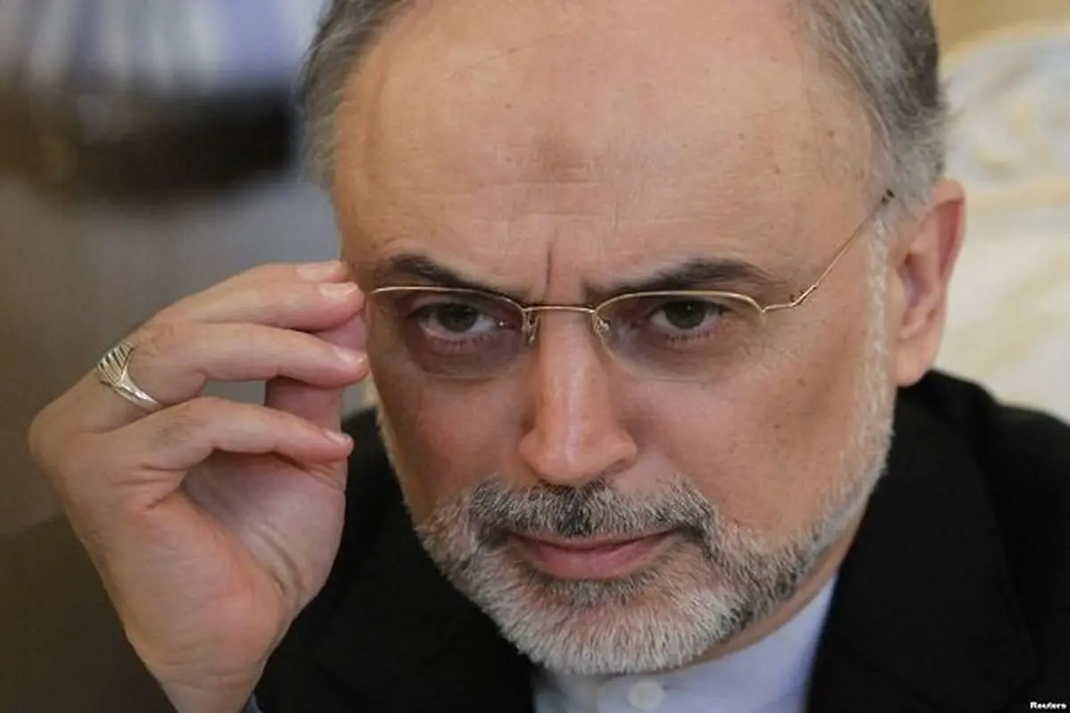 صالحی: ایران براساس عقلانیت عمل می‌کند/ ترامپ برای خودش حرف می‌زند