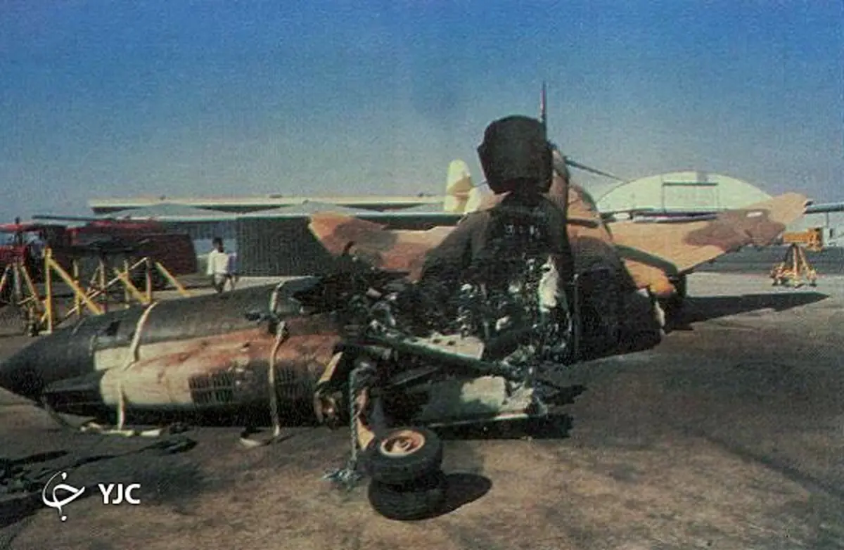 کدام پرنده‌ها سرنوشت جنگ تحمیلی را تغییر دادند؟ + تصاویر