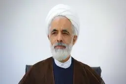 انصاری: اصل در قانون‌گذاری با لوایح قانونی است