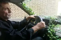 سبزترین تاکسی ایرانی/ تصاویر