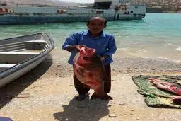 عکس: صید ماهی یک متری از دریاچه سد کارون۴