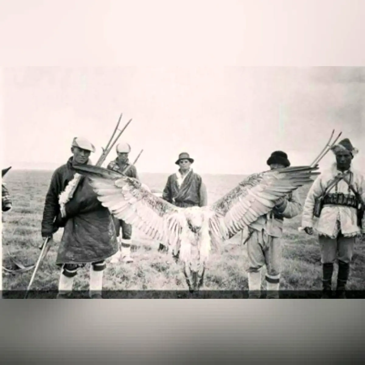 تصویری جالب از شکار یک "هما" توسط چند تن از اهالی تبت