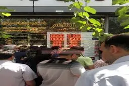 نرخ دلار به تابلوی صرافی‌ها بازگشت/عکس