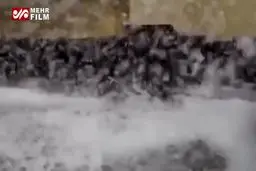 ببینید: سفیدپوش شدن مسکو در روزهای نخست خرداد