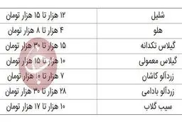قیمت میوه‌های نوبرانه تابستان در بازار + جدول