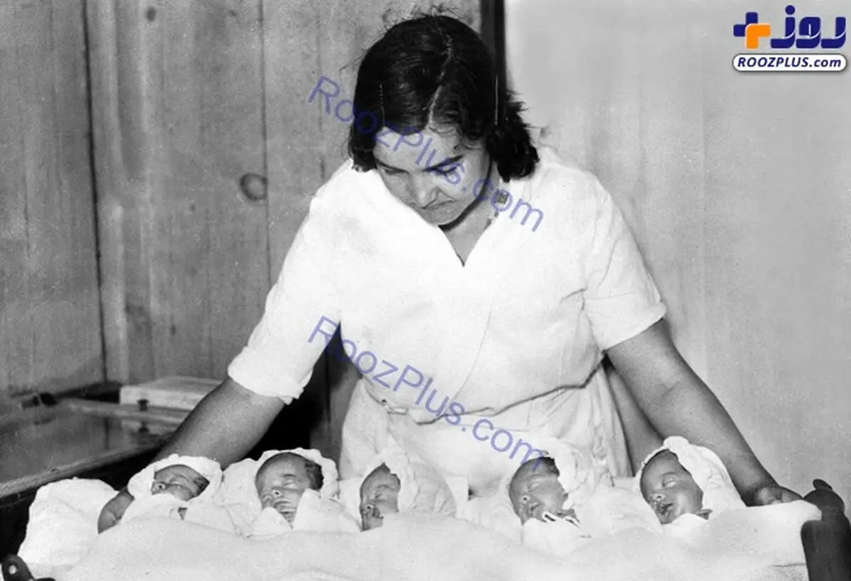 تصویری از نخستین پنج قلوهای جهان