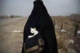 زن محجبه‌ای با گربه‌اش در هنگام فرار از موصل/عکس