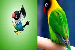 عکس هایی از شخصیت های بازی پوکمون در طبیعت / تصاویر