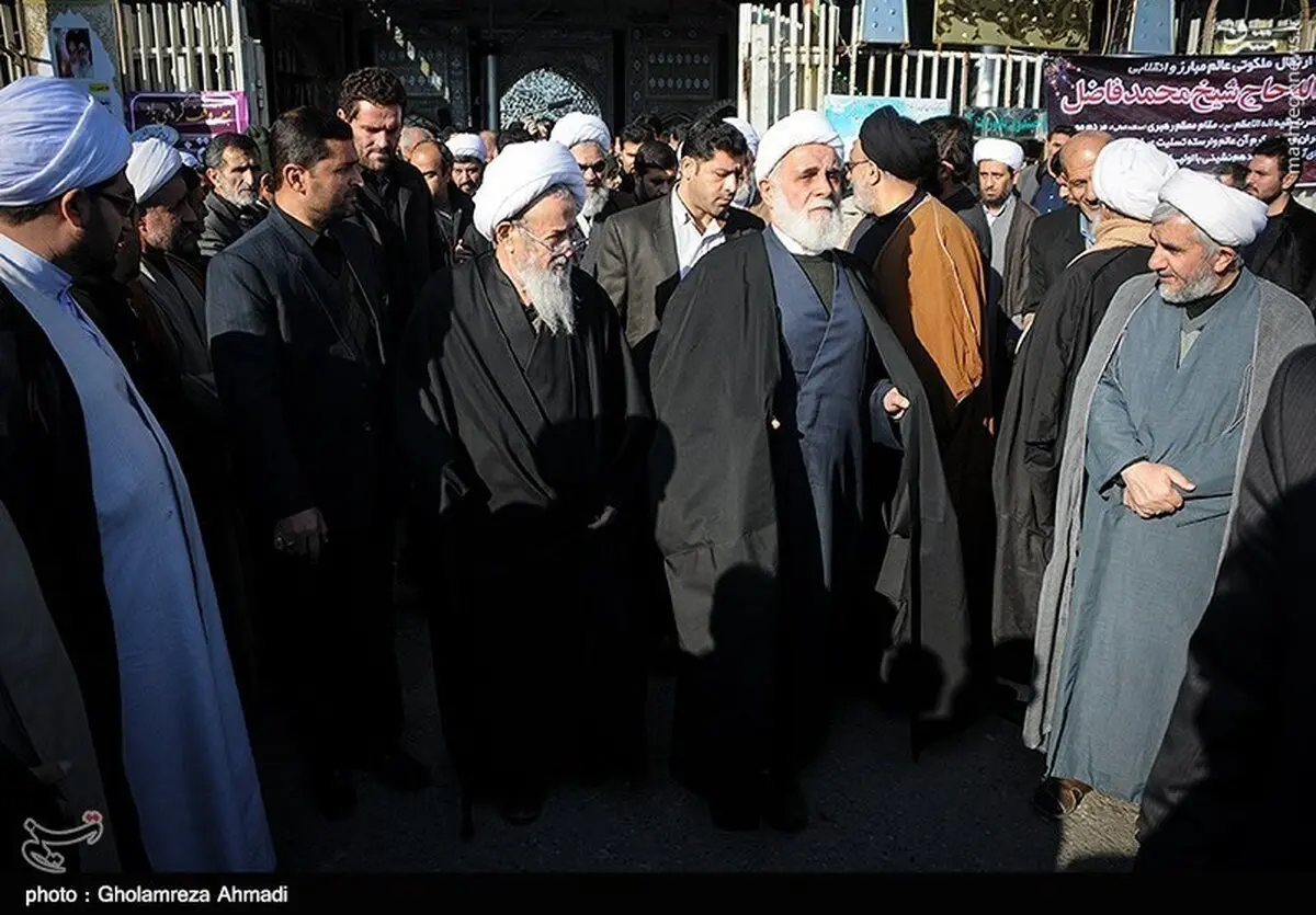 آیت الله ناطق نوری در مراسم تشییع جنازه  آیت‌الله فاضل/عکس