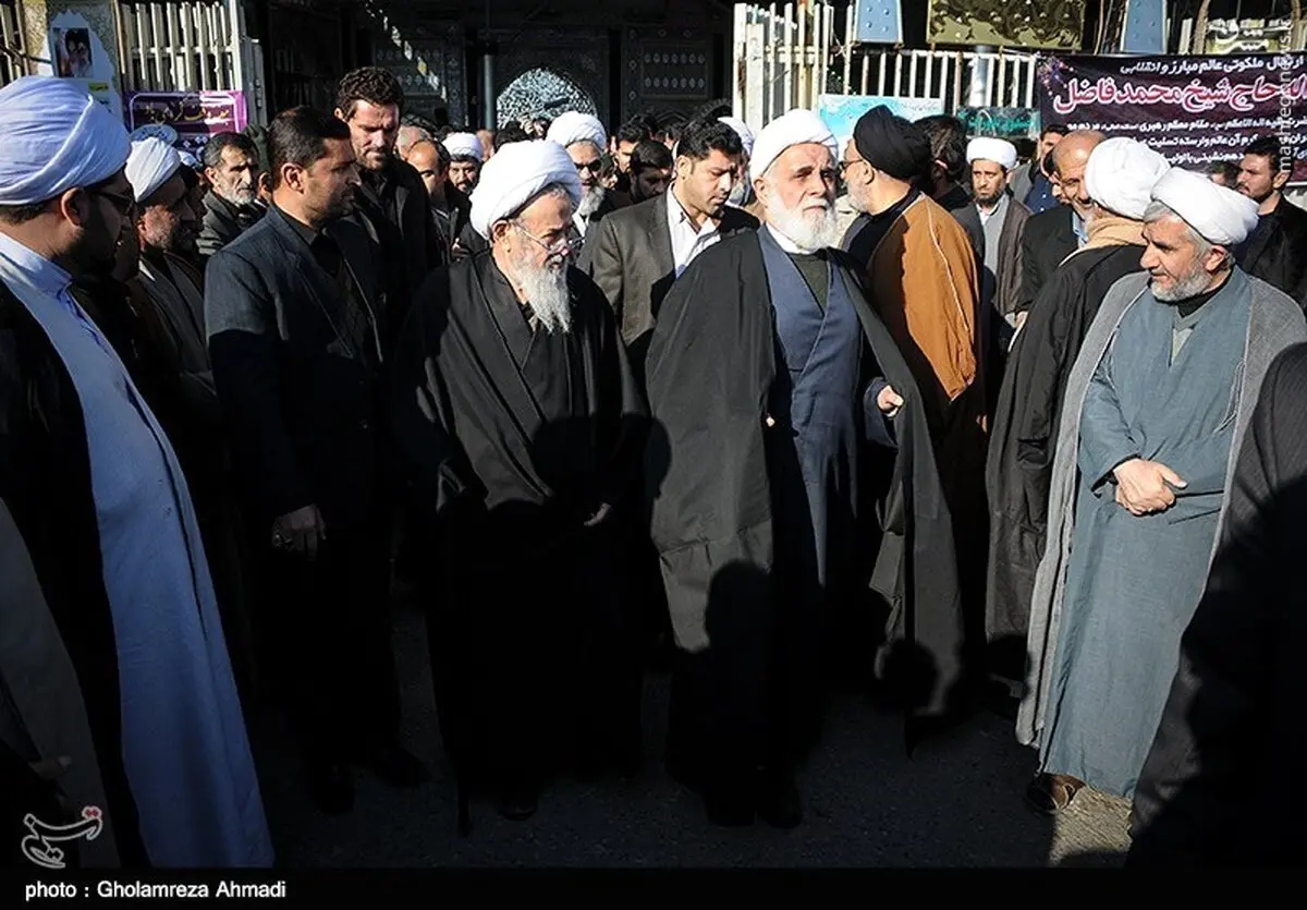 آیت الله ناطق نوری در مراسم تشییع جنازه  آیت‌الله فاضل/عکس
