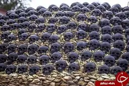 وحشتناک ترین خانه دنیا که کسی جرات رفتن به آن جا را ندارد+تصاویر