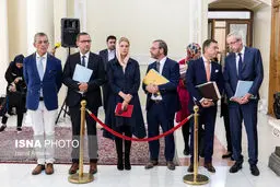 نشست خبری مشترک زیکفرید براک با علی لاریجانی/تصاویر