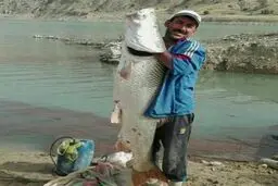 صید یک ماهی عظیم در گچساران/عکس