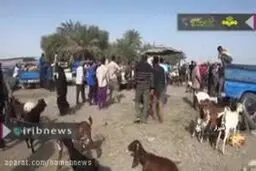 ببینید: وقتی پای پول بیشتر در میان است!