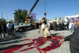 تصویری دلخراش از گاوی که برای استاندار جدید اراک کشتند/عکس