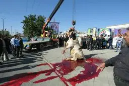 تصویری دلخراش از گاوی که برای استاندار جدید اراک کشتند/عکس