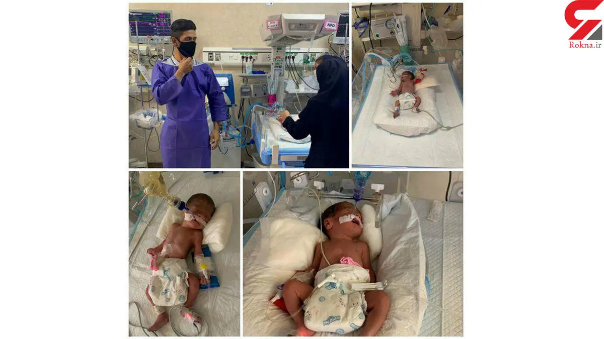 ۶ قلوهای کرجی به دنیا آمدند / 3 دختر و 3 پسر !+عکس