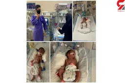 ۶ قلوهای کرجی به دنیا آمدند / 3 دختر و 3 پسر !+عکس