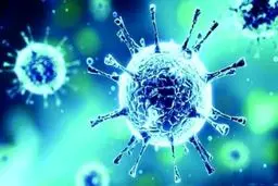 پایان یک اتهام/ قم منشأ کرونا نبود! + جزئیات