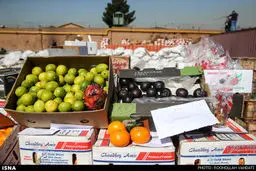 میوه‌های قاچاق زیر چرخ لودر!/ تصاویر