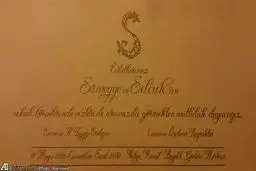 کارت عروسی دختر اردوغان