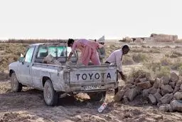 تختک نشینان هامون+عکس‌ها