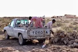 تختک نشینان هامون+عکس‌ها