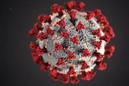 هشدار جدی به خانواده‌ها؛ کودک ۱۰ ساله هرمزگانی نیز قربانی ویروس مرموز کرونا شد