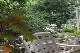 خانه نیکی کریمی در زعفرانیه! + عکس