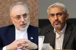 علی اکبر صالحی درباره وزیر پیشنهادی اقتصاد چه گفت؟