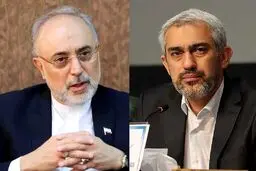 علی اکبر صالحی درباره وزیر پیشنهادی اقتصاد چه گفت؟