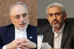 علی اکبر صالحی درباره وزیر پیشنهادی اقتصاد چه گفت؟