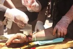 حکم قطع دست برای علی و شاهین / ۲ جوان تهرانی در تاریکی وارد خانه عروس شدند!
