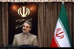 حواشی نشست خبری سخنگوی دولت/تصاویر