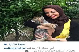 نفیسه روشن و یک توله ببر 15 روزه/عکس