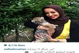نفیسه روشن و یک توله ببر 15 روزه/عکس