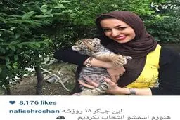 نفیسه روشن و یک توله ببر 15 روزه/عکس