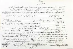 توضیحات رضاییان درباره ماجرای مزایده نفت+عکس
