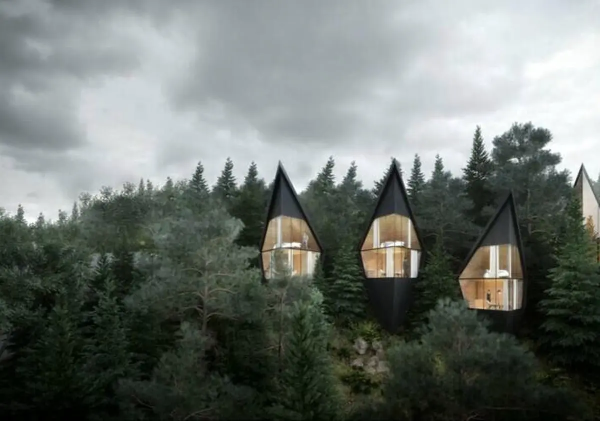 اقامت لوکس و جالب در جنگل/ تصاویر