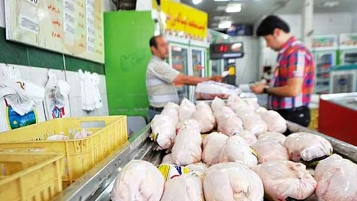 قیمت مرغ پرواز کرد/ افزایش بی سابقه قیمت مرغ!