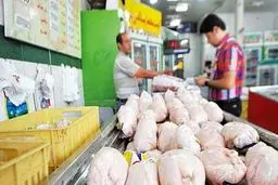 قیمت مرغ پرواز کرد/ افزایش بی سابقه قیمت مرغ!