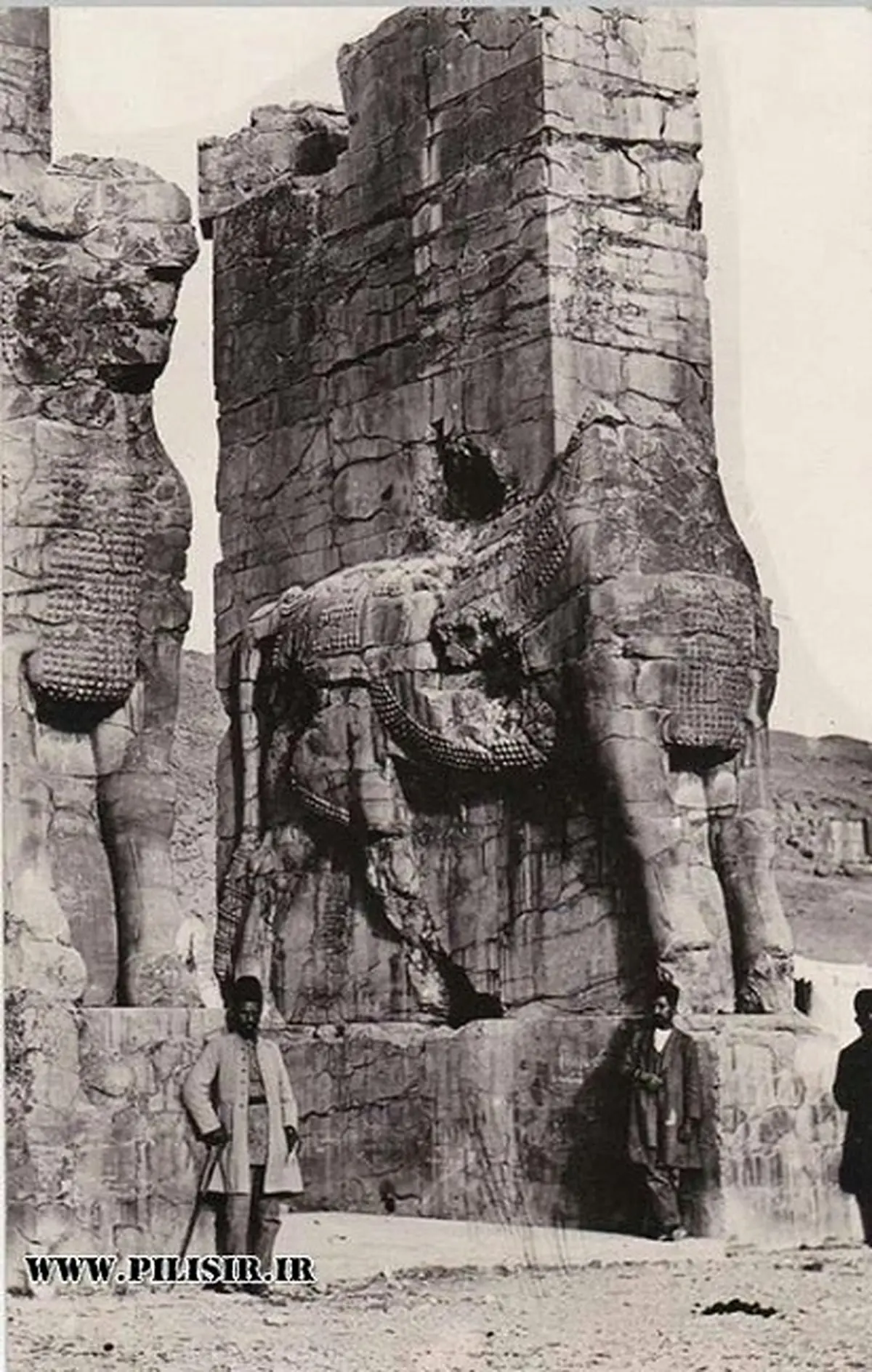 تخت جمشید یک قرن پیش/عکس