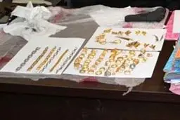 سارق طلافروشی در قهوه‌خانه دستگیر شد+ عکس