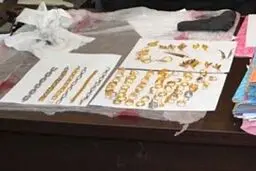 سارق طلافروشی در قهوه‌خانه دستگیر شد+ عکس