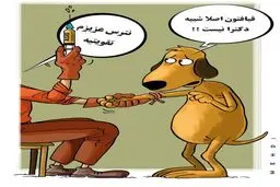 سگ کشی در شیراز!/کاریکاتور